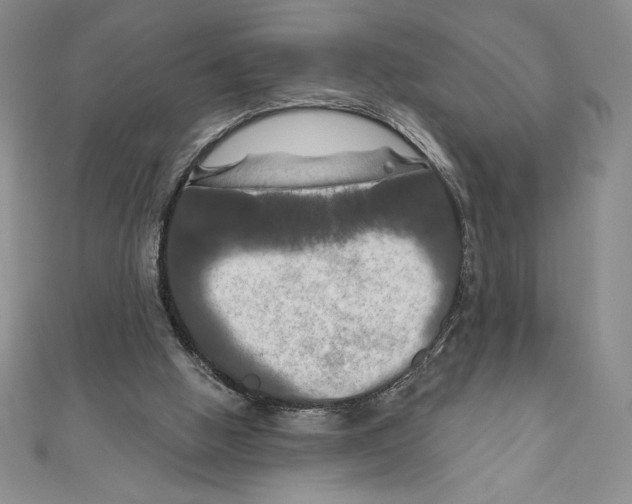 X0000111000058200907171822