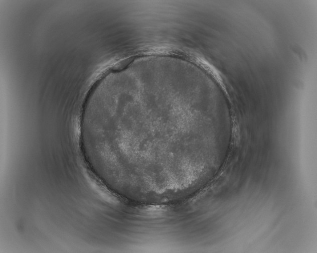 X0000111000059200907171822