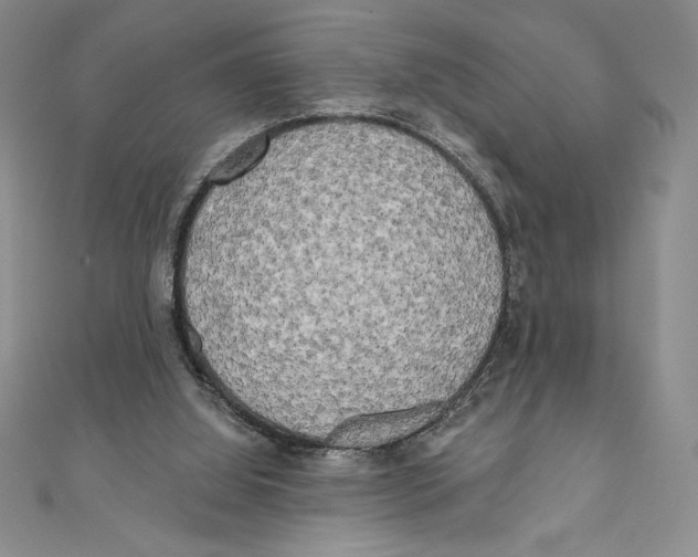 X0000111000060200907171822