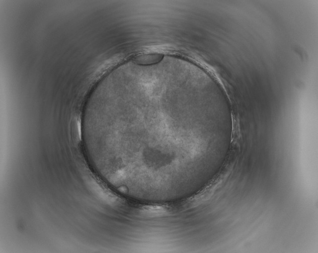 X0000111000061200907171822