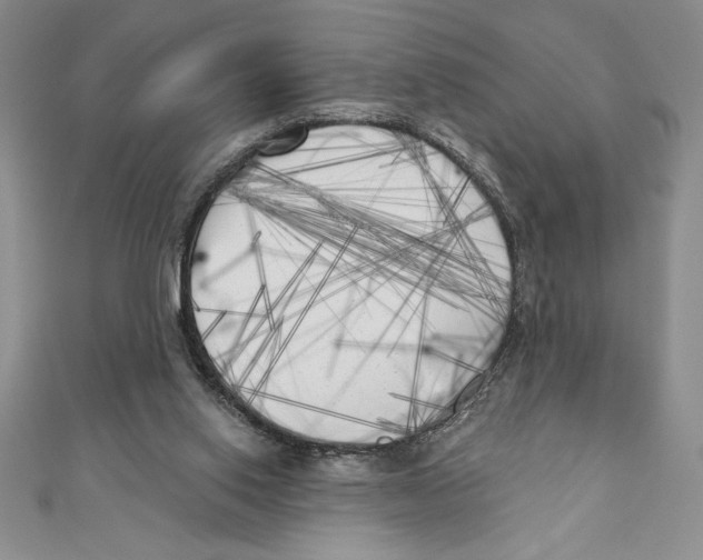 X0000111000062200907171822