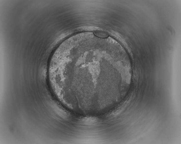 X0000111000063200907171822