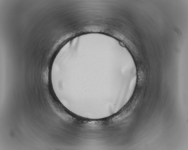 X0000111000064200907171822