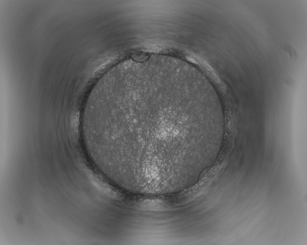 X0000111000066200907171822