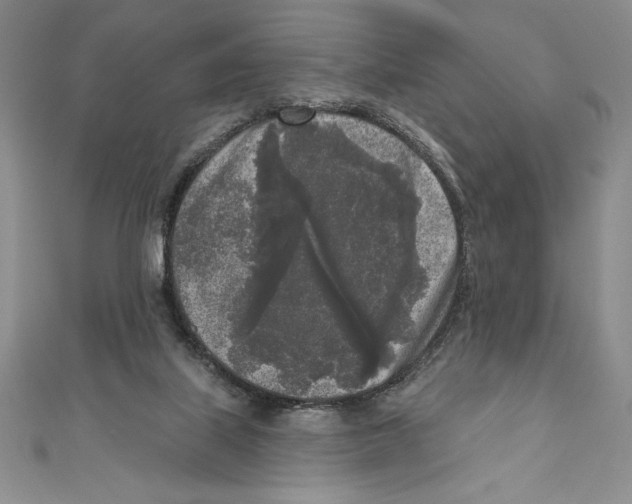 X0000111000067200907171822