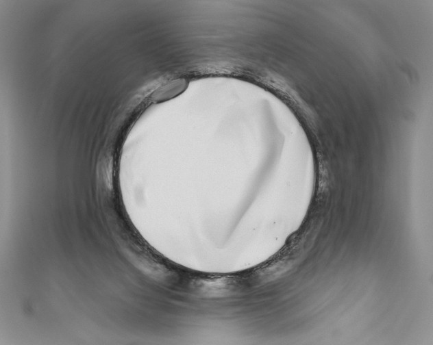 X0000111000068200907171822