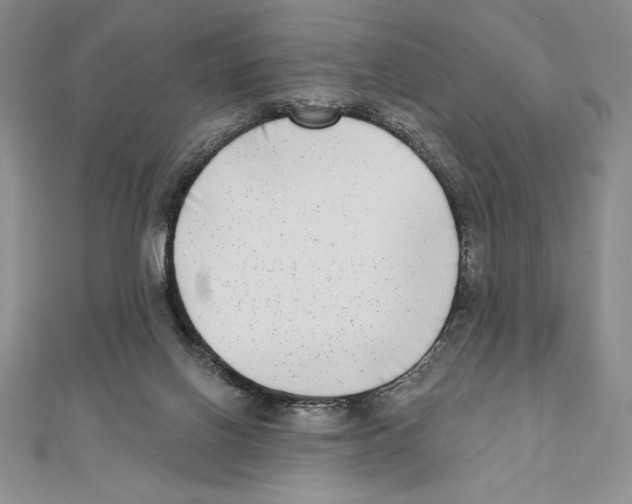 X0000111000070200907171822