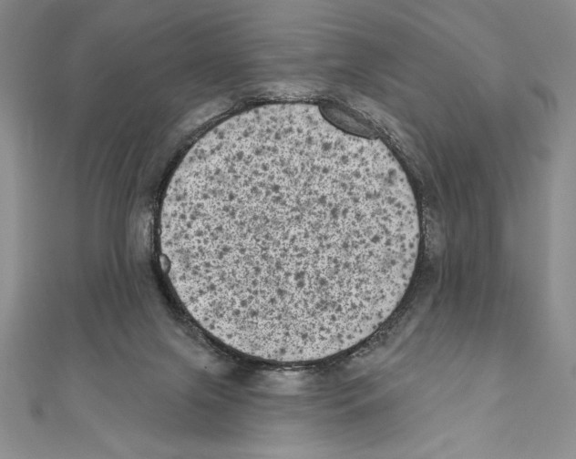 X0000111000071200907171822