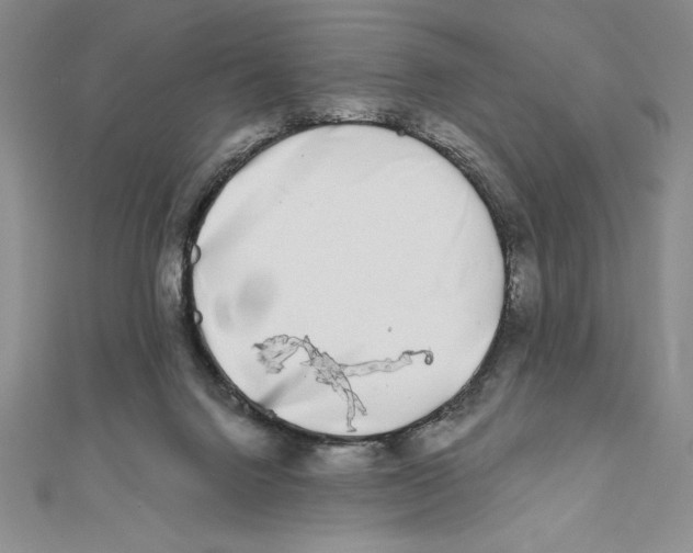 X0000111000072200907171822