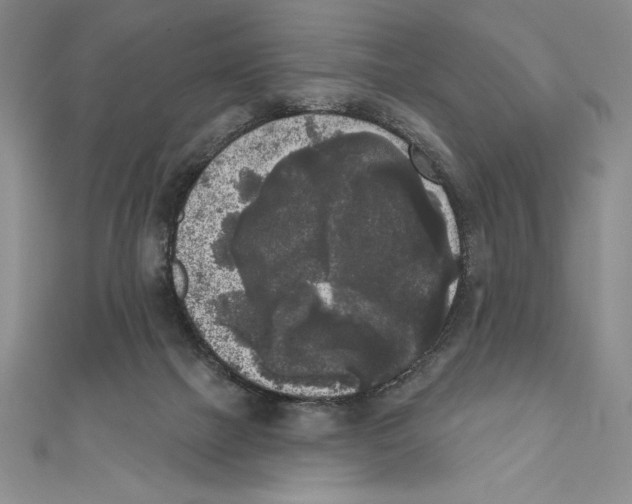 X0000111000073200907171822