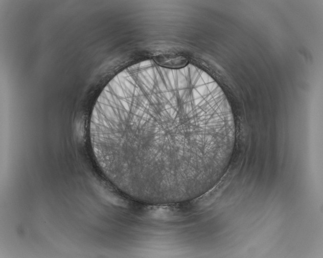 X0000111000074200907171822