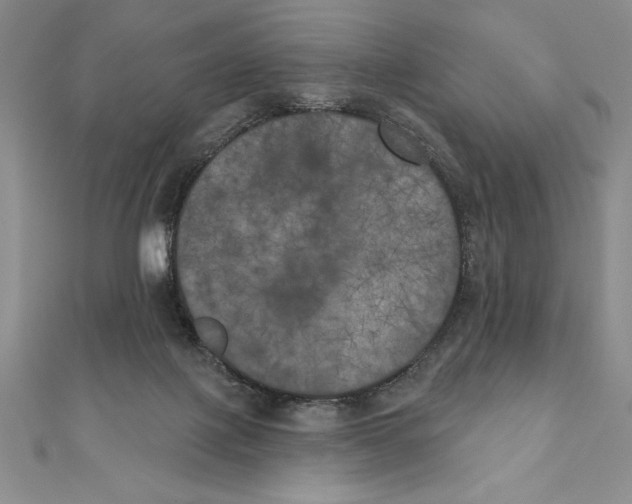 X0000111000075200907171822