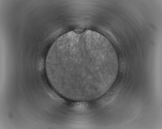 X0000111000077200907171822