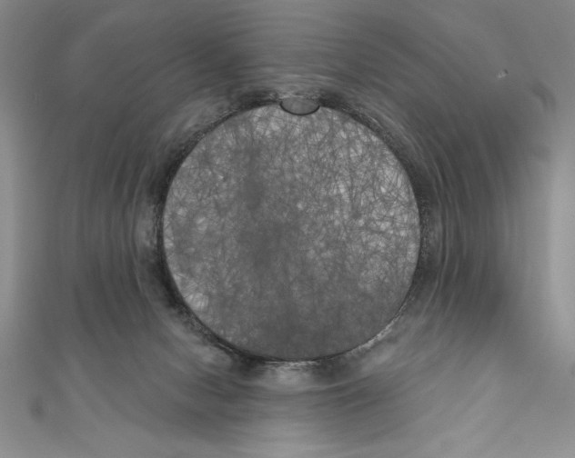 X0000111000078200907171822