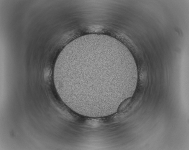 X0000111000079200907171822