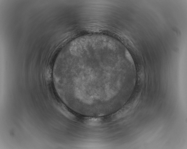 X0000111000081200907171822