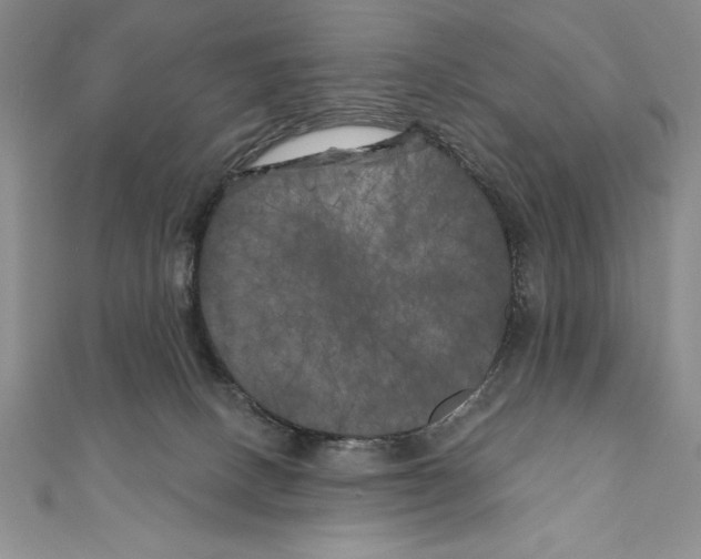 X0000111000082200907171822