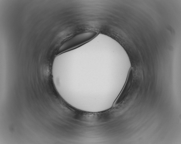 X0000111000084200907171822