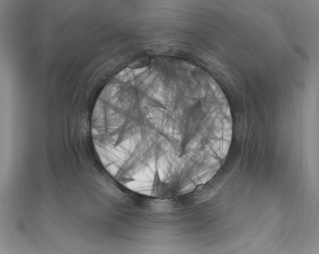 X0000111000085200907171822