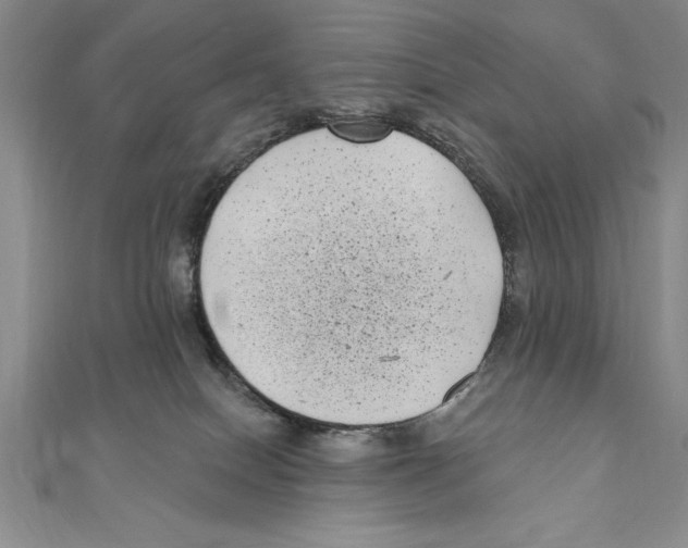 X0000111000086200907171822