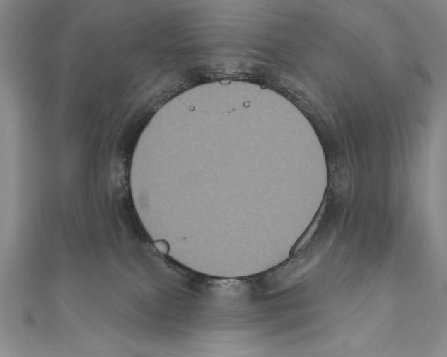 X0000111000087200907171822