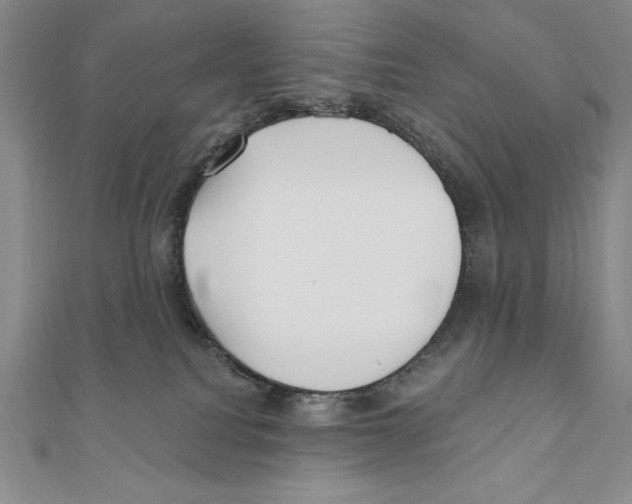 X0000111000088200907171822