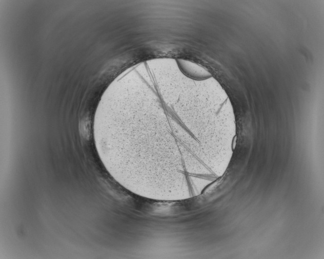 X0000111000090200907171822