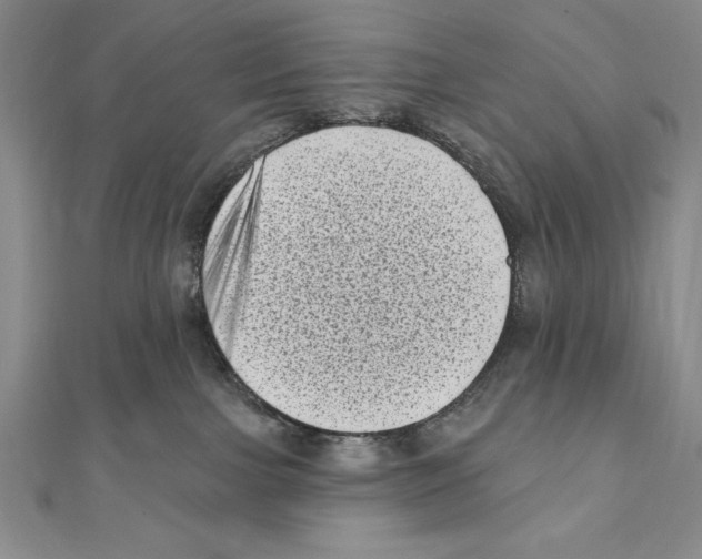 X0000111000091200907171822