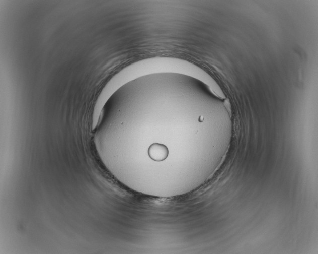 X0000111000092200907171822