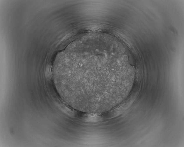 X0000111000093200907171822