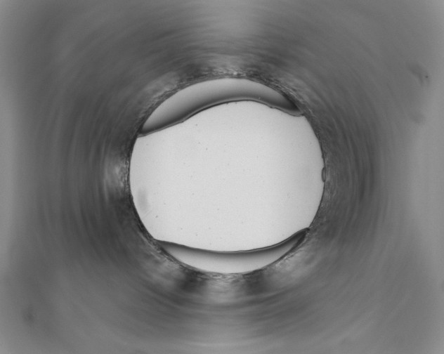 X0000111000096200907171822