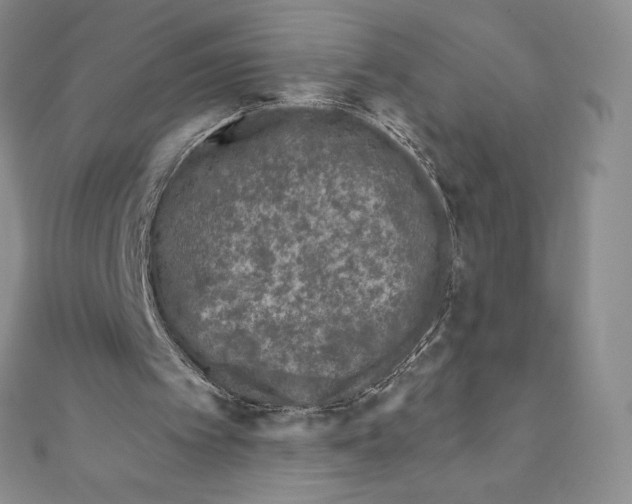 X0000111000097200907171822