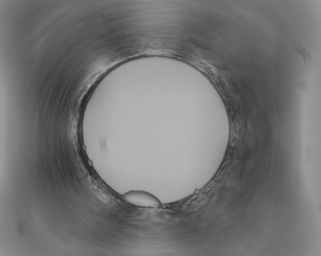 X0000111000098200907171822