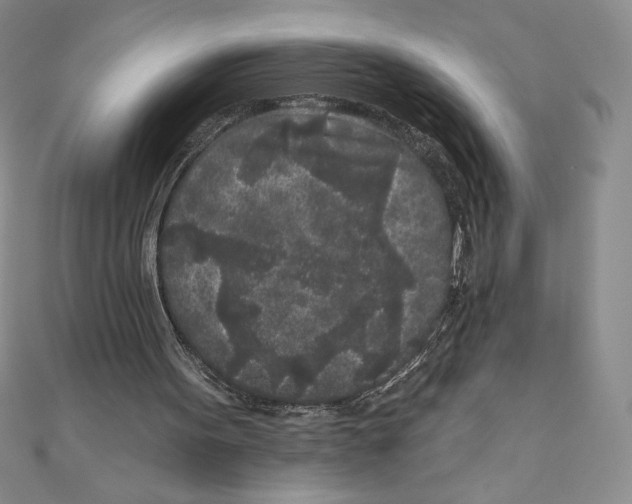 X0000111000099200907171822