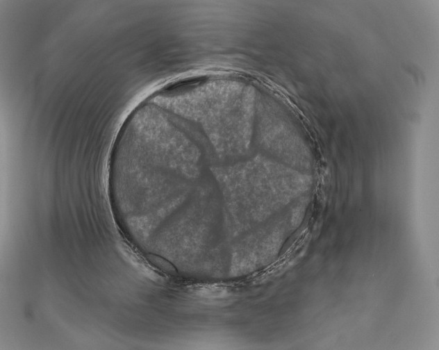 X0000111000100200907171822