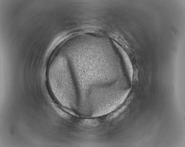 X0000111000101200907171822