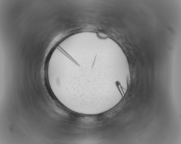 X0000111000102200907171822