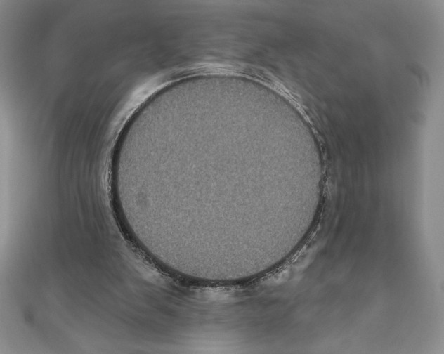 X0000111000103200907171822