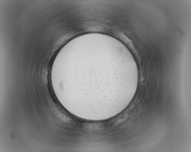 X0000111000106200907171822