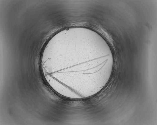 X0000111000107200907171821