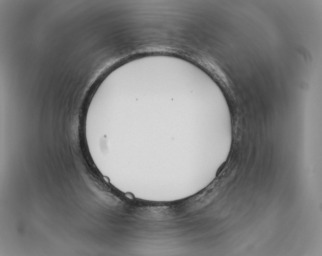 X0000111000108200907171821