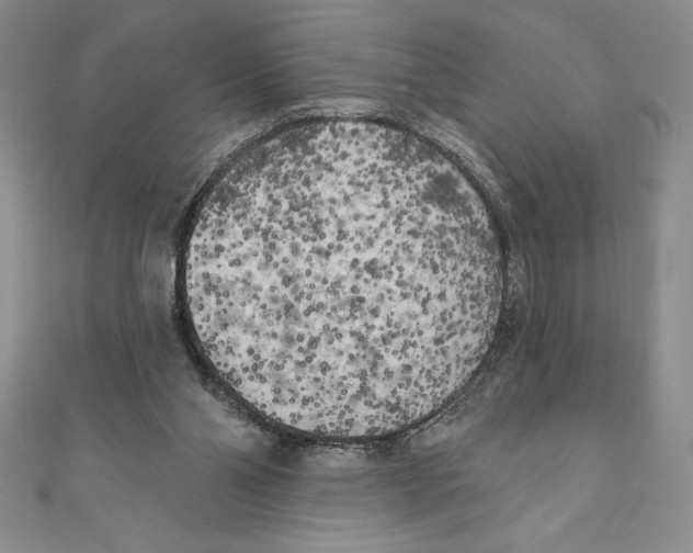 X0000111000110200907171821