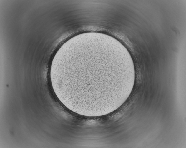 X0000111000111200907171821