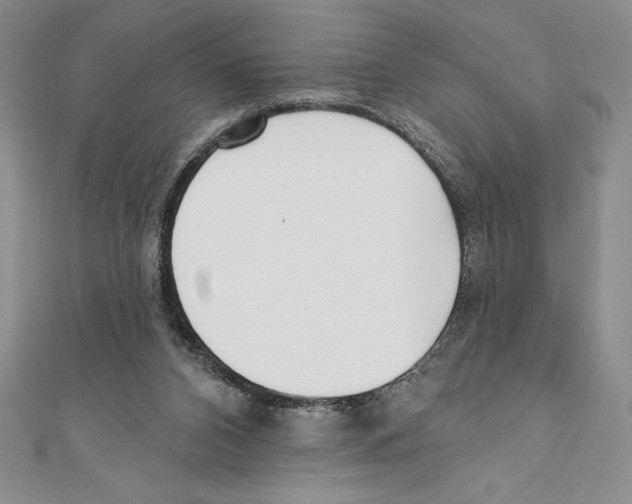 X0000111000112200907171821