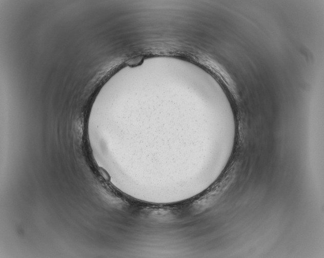 X0000111000113200907171821