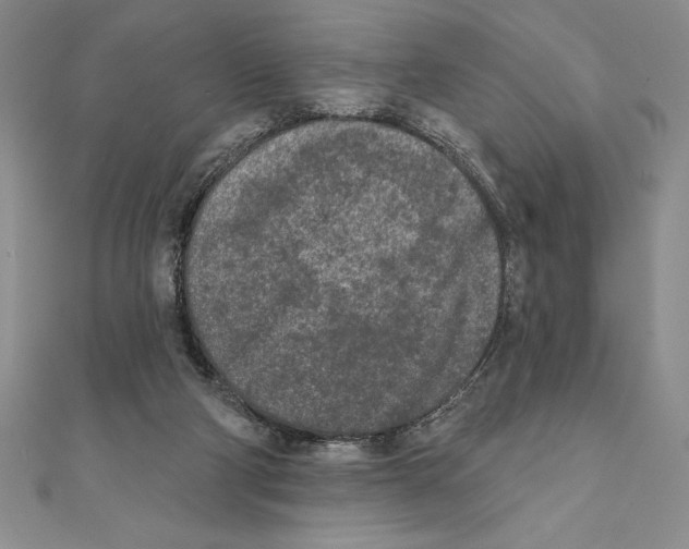 X0000111000114200907171821