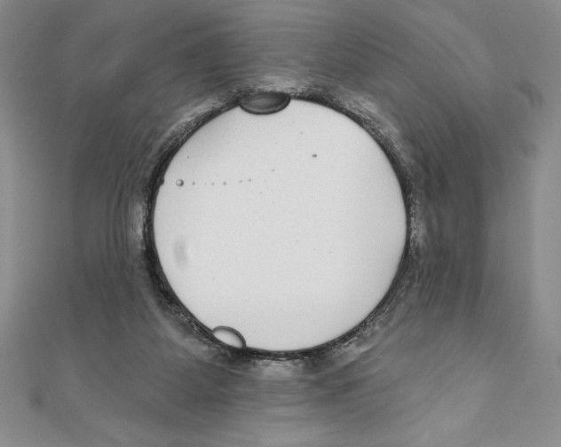 X0000111000115200907171821