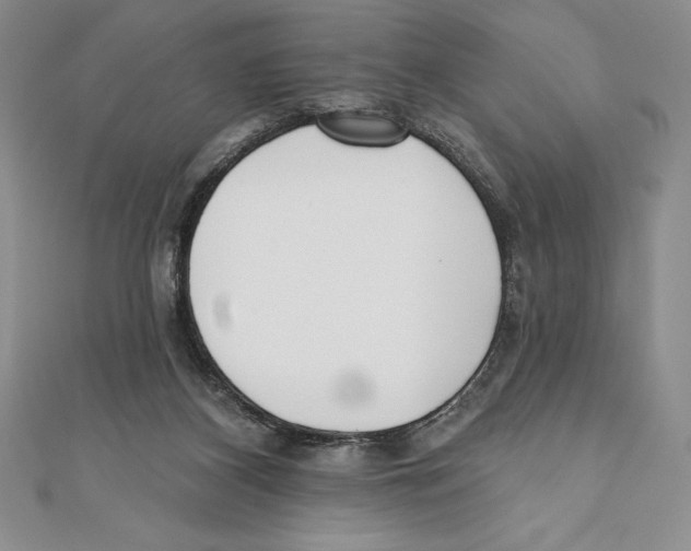 X0000111000116200907171821