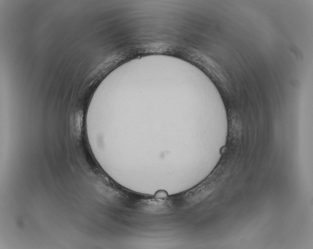 X0000111000118200907171821