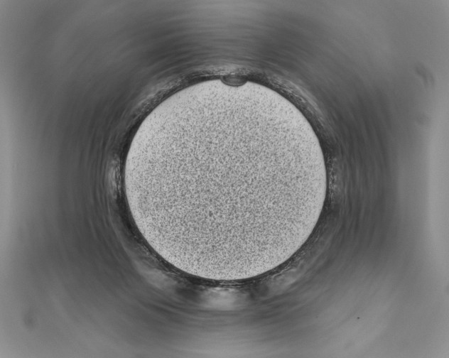 X0000111000119200907171821